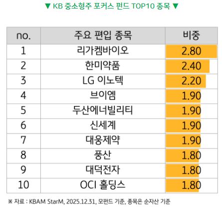 KB 중소형주 포커스 펀드